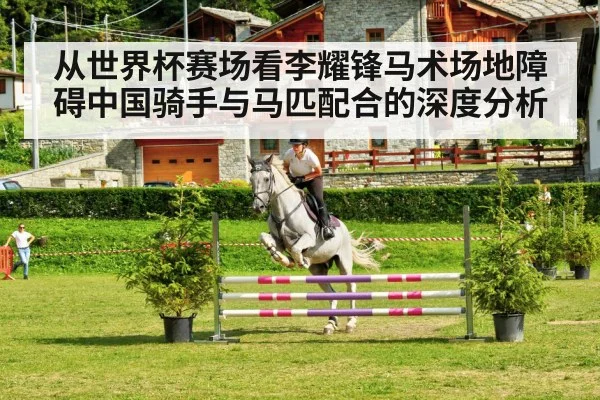 从世界杯赛场看李耀锋马术场地障碍中国骑手与马匹配合的深度分析